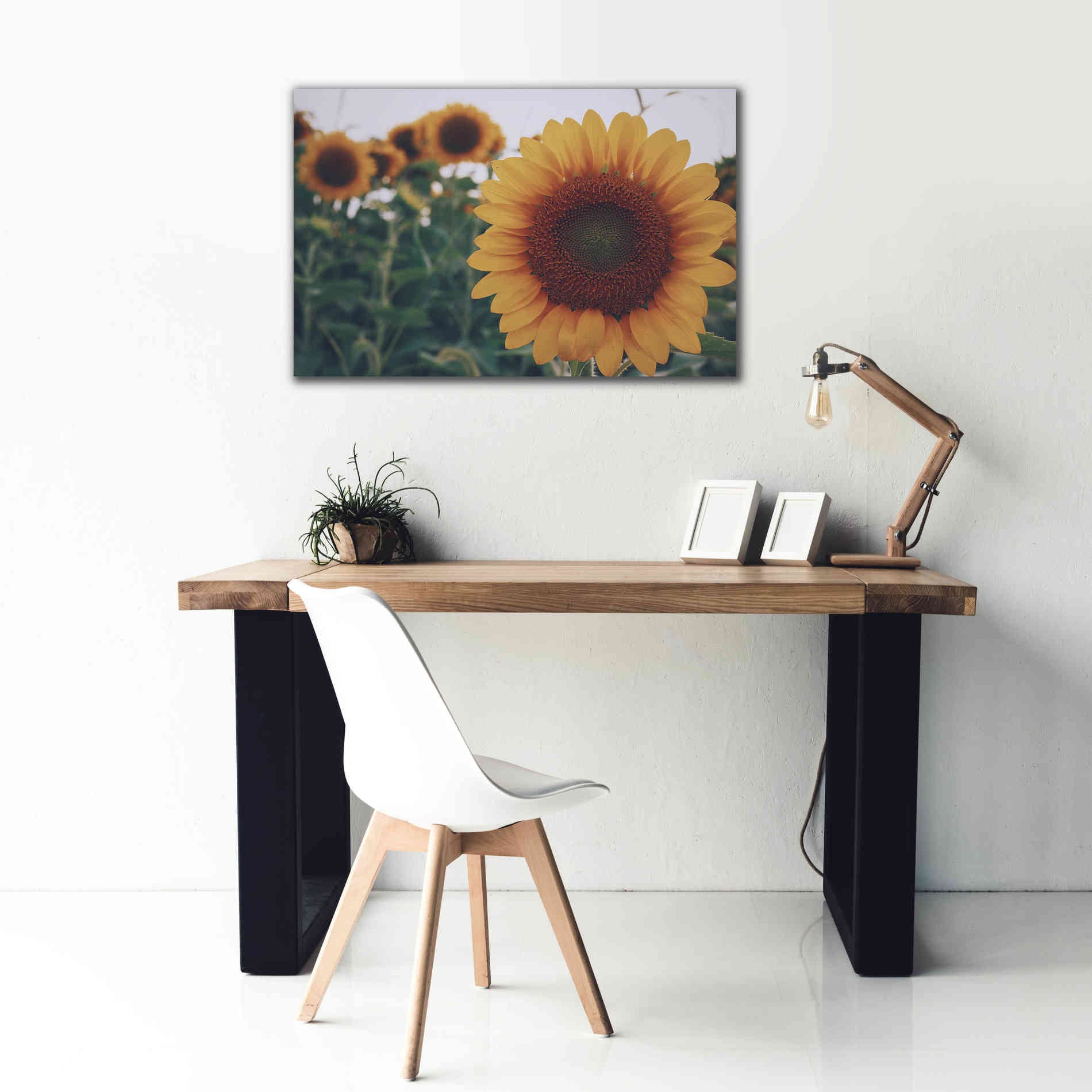 'Midwest Livin' II' by Donnie Quillen Canvas Wall Art,40 x 26