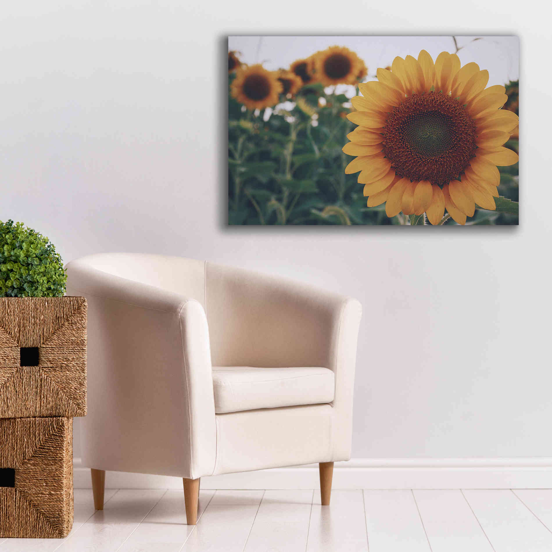 'Midwest Livin' II' by Donnie Quillen Canvas Wall Art,40 x 26