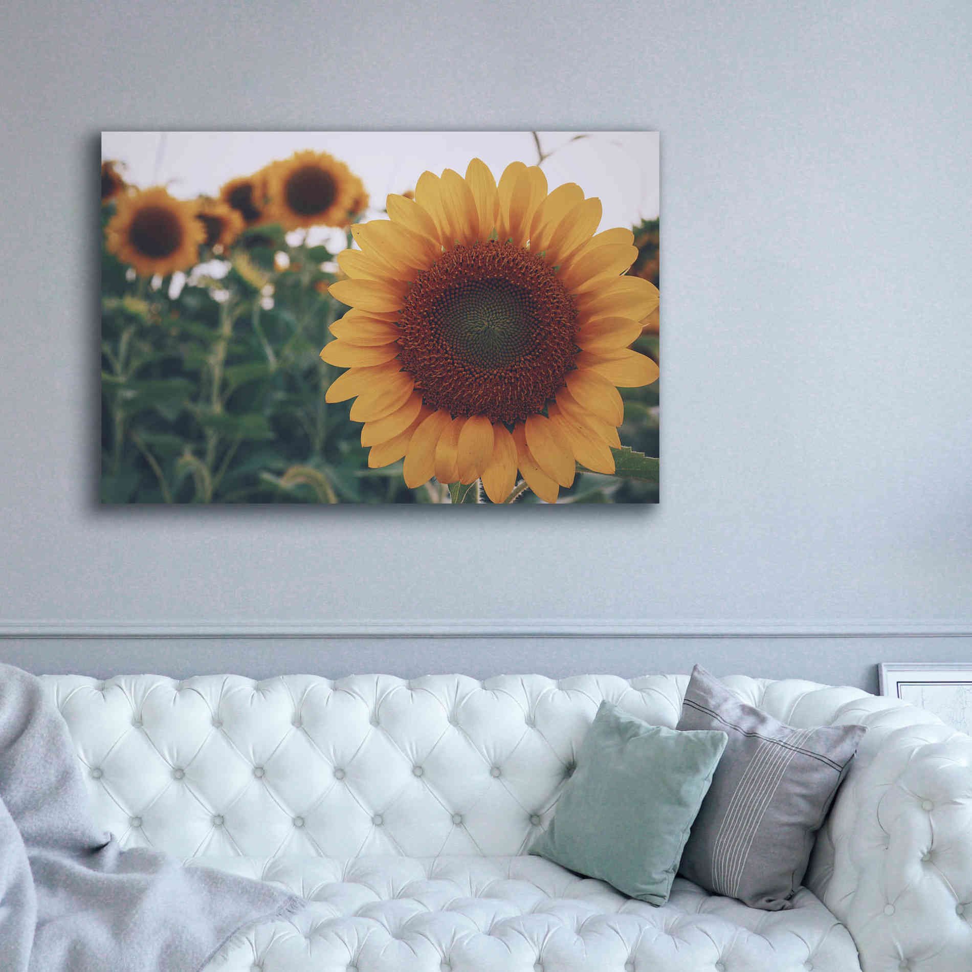 'Midwest Livin' II' by Donnie Quillen Canvas Wall Art,60 x 40