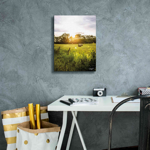 Image of 'Daybreak in the Country I' by Donnie Quillen Canvas Wall Art,12 x 16