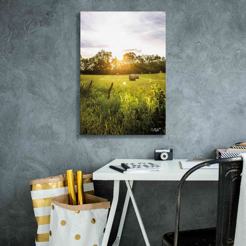 Image of 'Daybreak in the Country I' by Donnie Quillen Canvas Wall Art,18 x 26