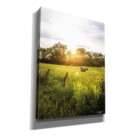 Image of 'Daybreak in the Country I' by Donnie Quillen Canvas Wall Art