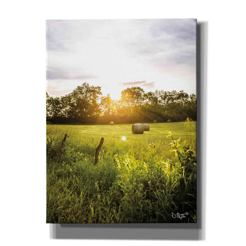 Image of 'Daybreak in the Country I' by Donnie Quillen Canvas Wall Art
