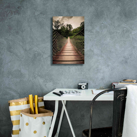 Image of 'Wilderness Walkway' by Donnie Quillen Canvas Wall Art,12 x 18