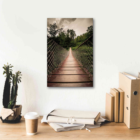 Image of 'Wilderness Walkway' by Donnie Quillen Canvas Wall Art,12 x 18