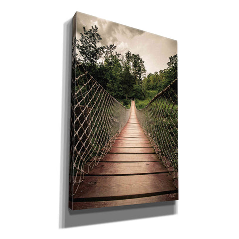 Image of 'Wilderness Walkway' by Donnie Quillen Canvas Wall Art