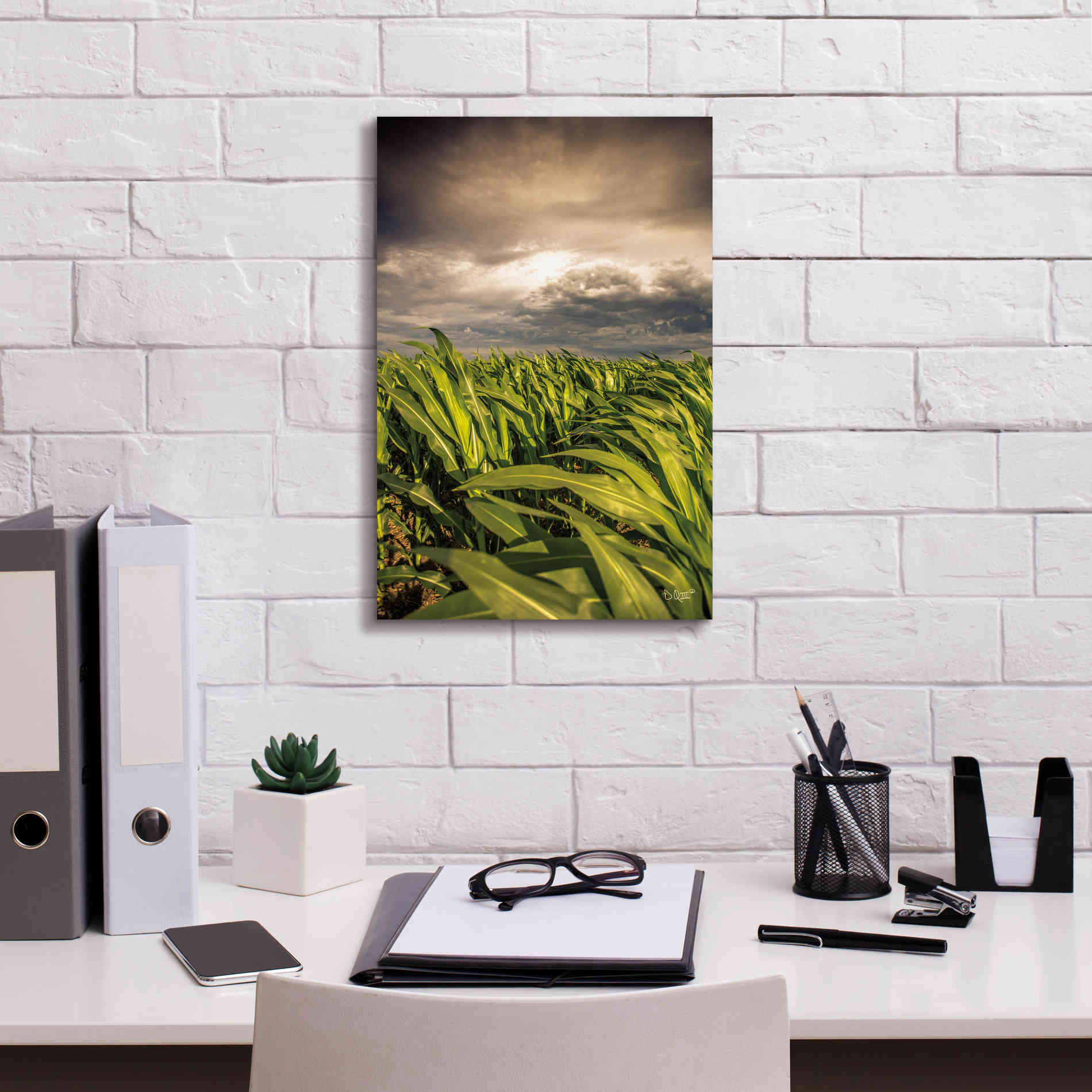 'Field of Corn' by Donnie Quillen Canvas Wall Art,12 x 18