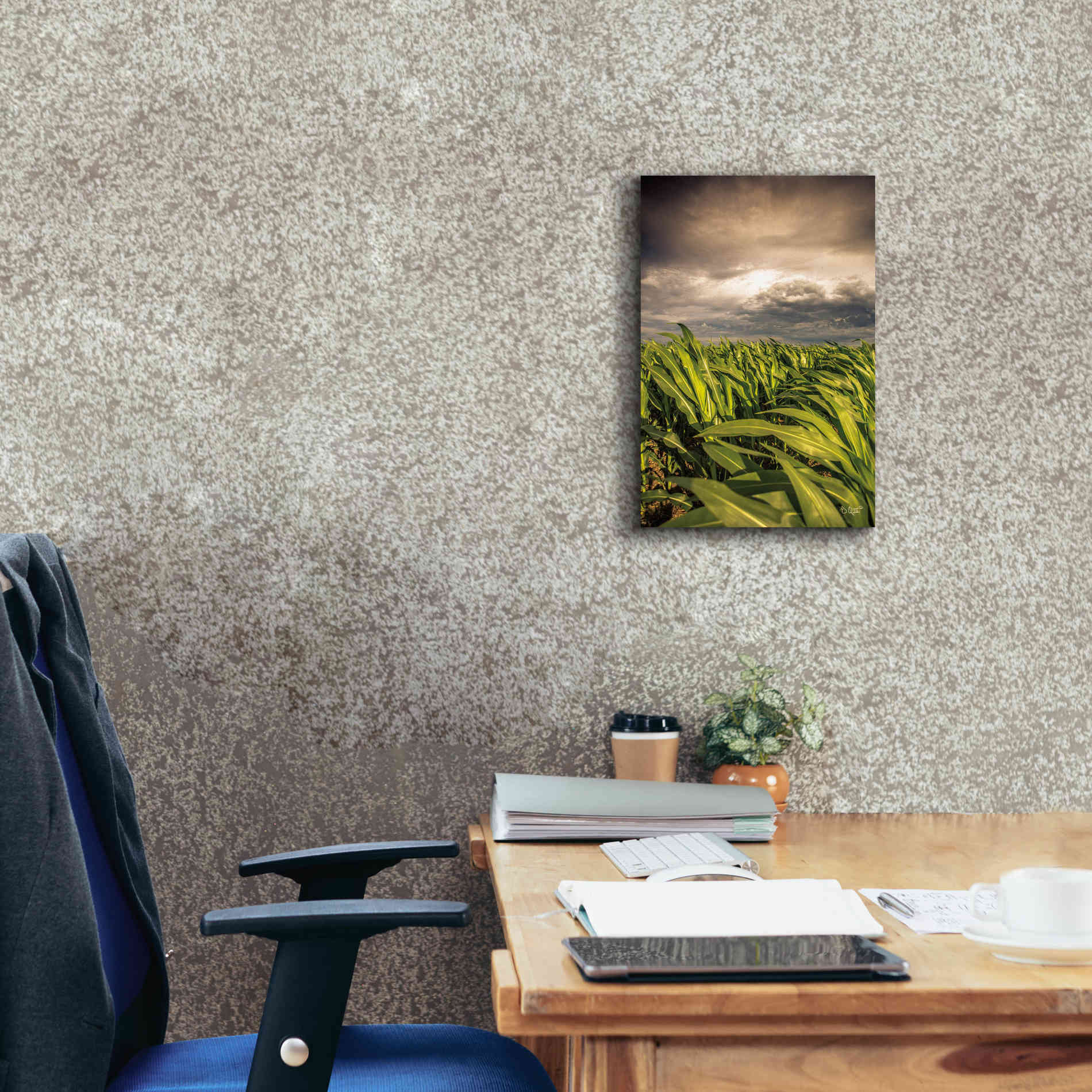 'Field of Corn' by Donnie Quillen Canvas Wall Art,12 x 18