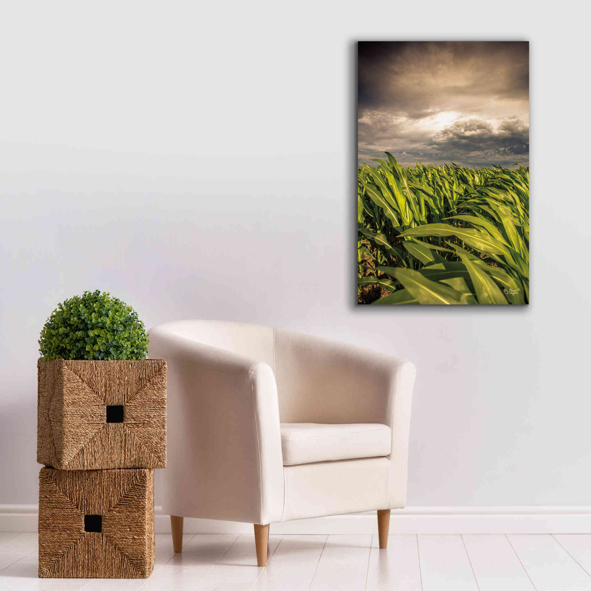 'Field of Corn' by Donnie Quillen Canvas Wall Art,26 x 40