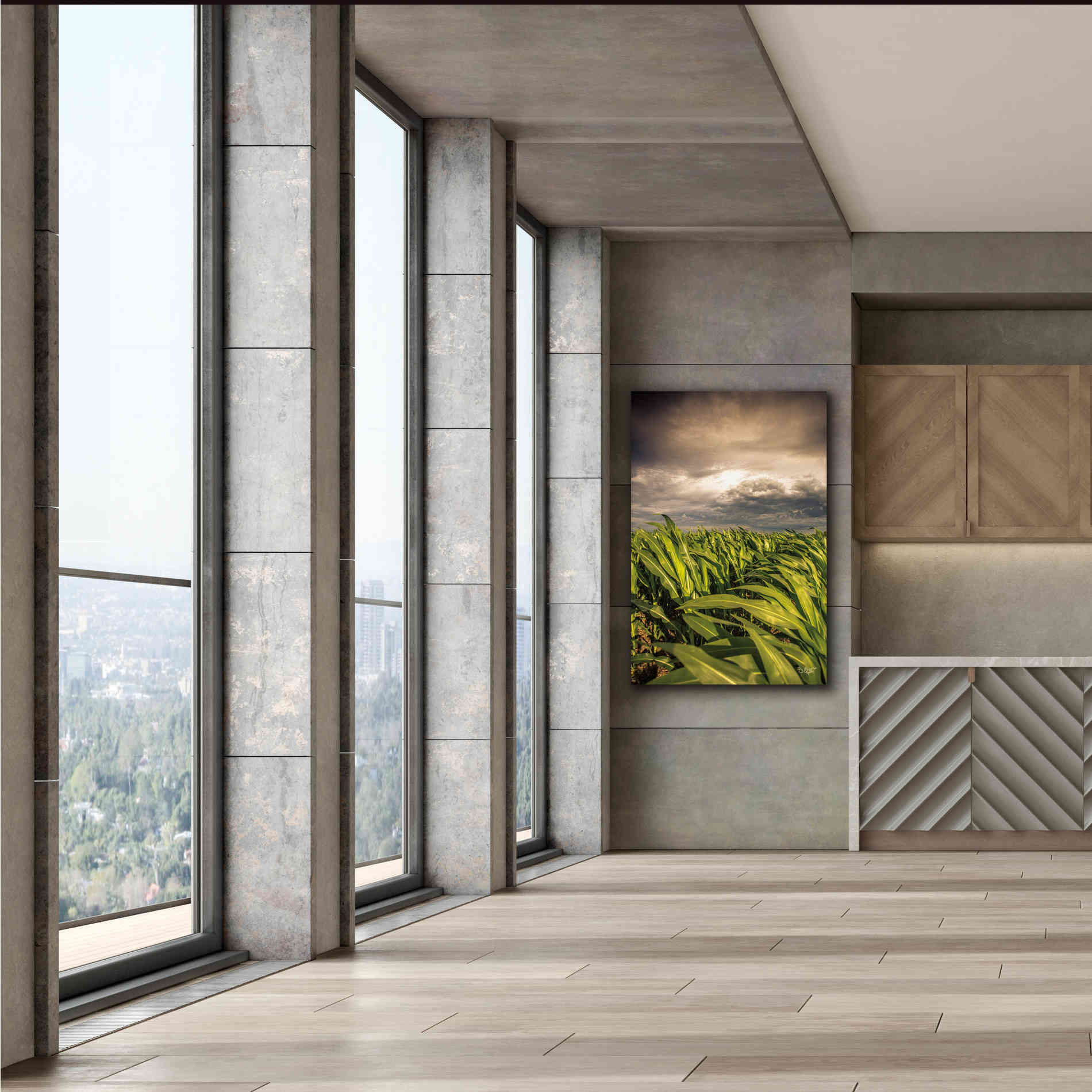 'Field of Corn' by Donnie Quillen Canvas Wall Art,40 x 60