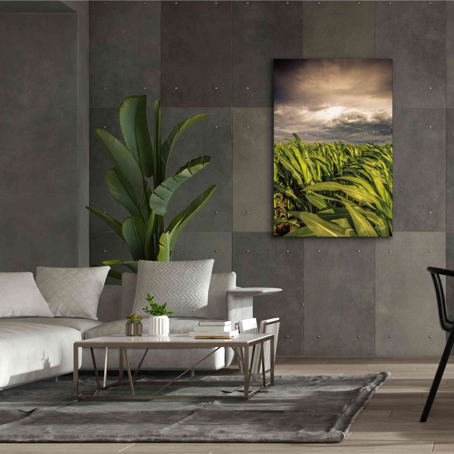'Field of Corn' by Donnie Quillen Canvas Wall Art,40 x 60