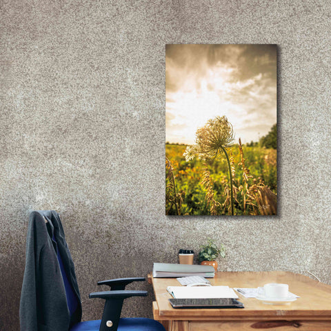 Image of 'Face the Sun I' by Donnie Quillen Canvas Wall Art,26 x 40