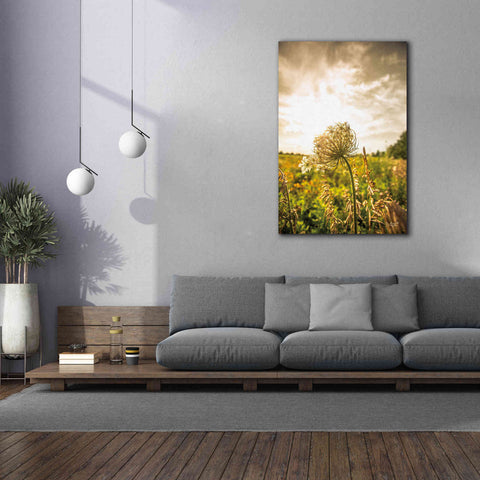 Image of 'Face the Sun I' by Donnie Quillen Canvas Wall Art,40 x 60