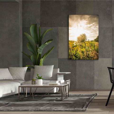 Image of 'Face the Sun I' by Donnie Quillen Canvas Wall Art,40 x 60