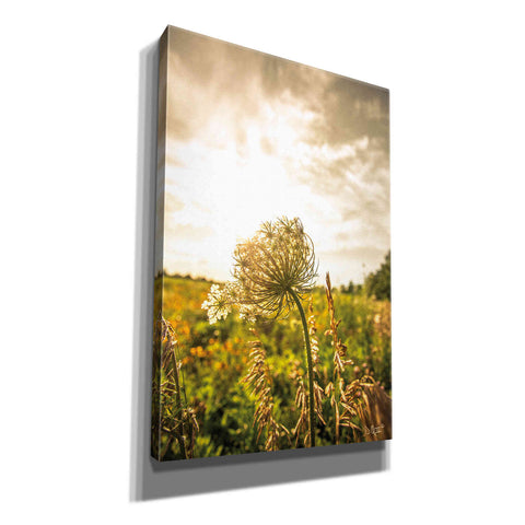 Image of 'Face the Sun I' by Donnie Quillen Canvas Wall Art