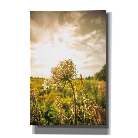 Image of 'Face the Sun I' by Donnie Quillen Canvas Wall Art