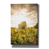 'Face the Sun I' by Donnie Quillen Canvas Wall Art