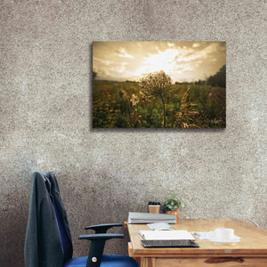 'Face the Sun II' by Donnie Quillen Canvas Wall Art,40 x 26