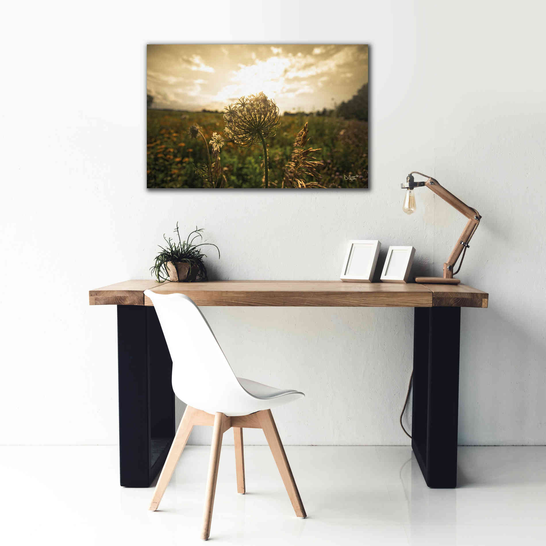 'Face the Sun II' by Donnie Quillen Canvas Wall Art,40 x 26