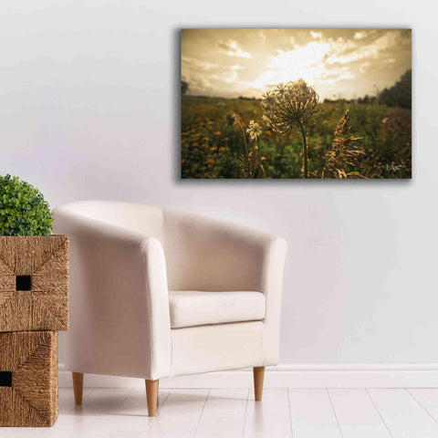 Image of 'Face the Sun II' by Donnie Quillen Canvas Wall Art,40 x 26