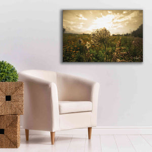 'Face the Sun II' by Donnie Quillen Canvas Wall Art,40 x 26