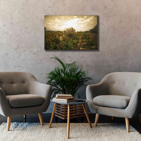 Image of 'Face the Sun II' by Donnie Quillen Canvas Wall Art,40 x 26