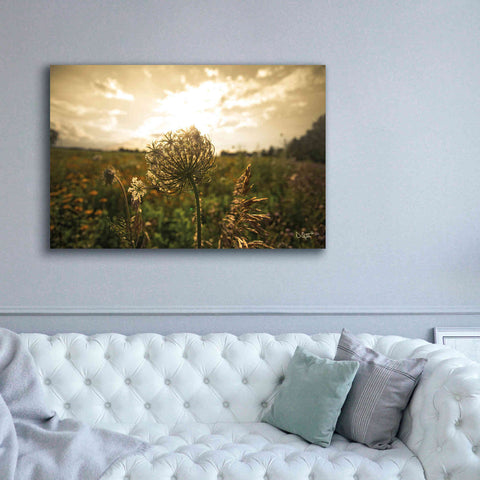 Image of 'Face the Sun II' by Donnie Quillen Canvas Wall Art,60 x 40