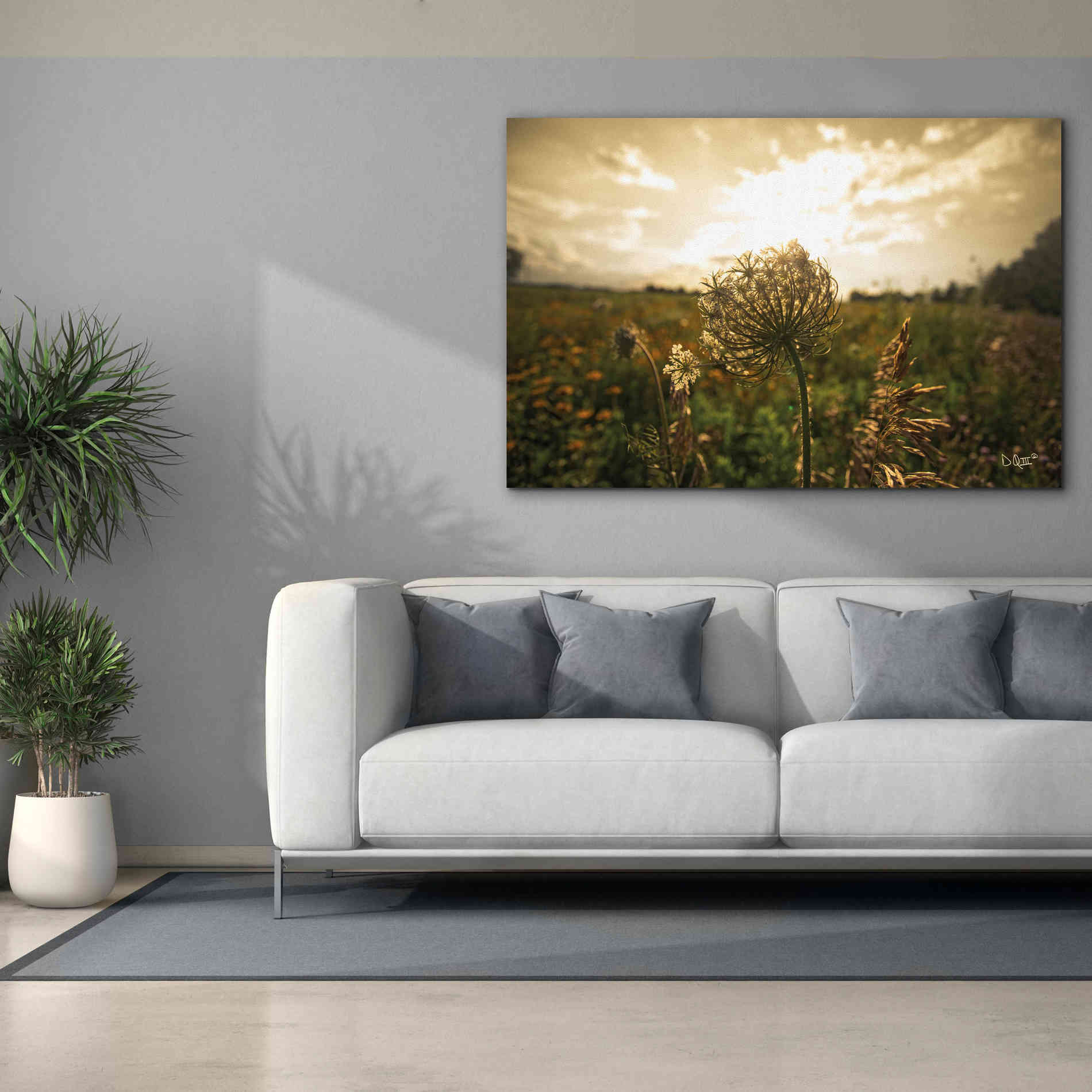 'Face the Sun II' by Donnie Quillen Canvas Wall Art,60 x 40