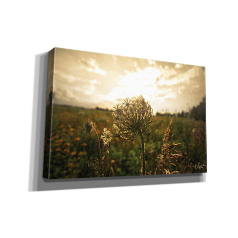 Image of 'Face the Sun II' by Donnie Quillen Canvas Wall Art