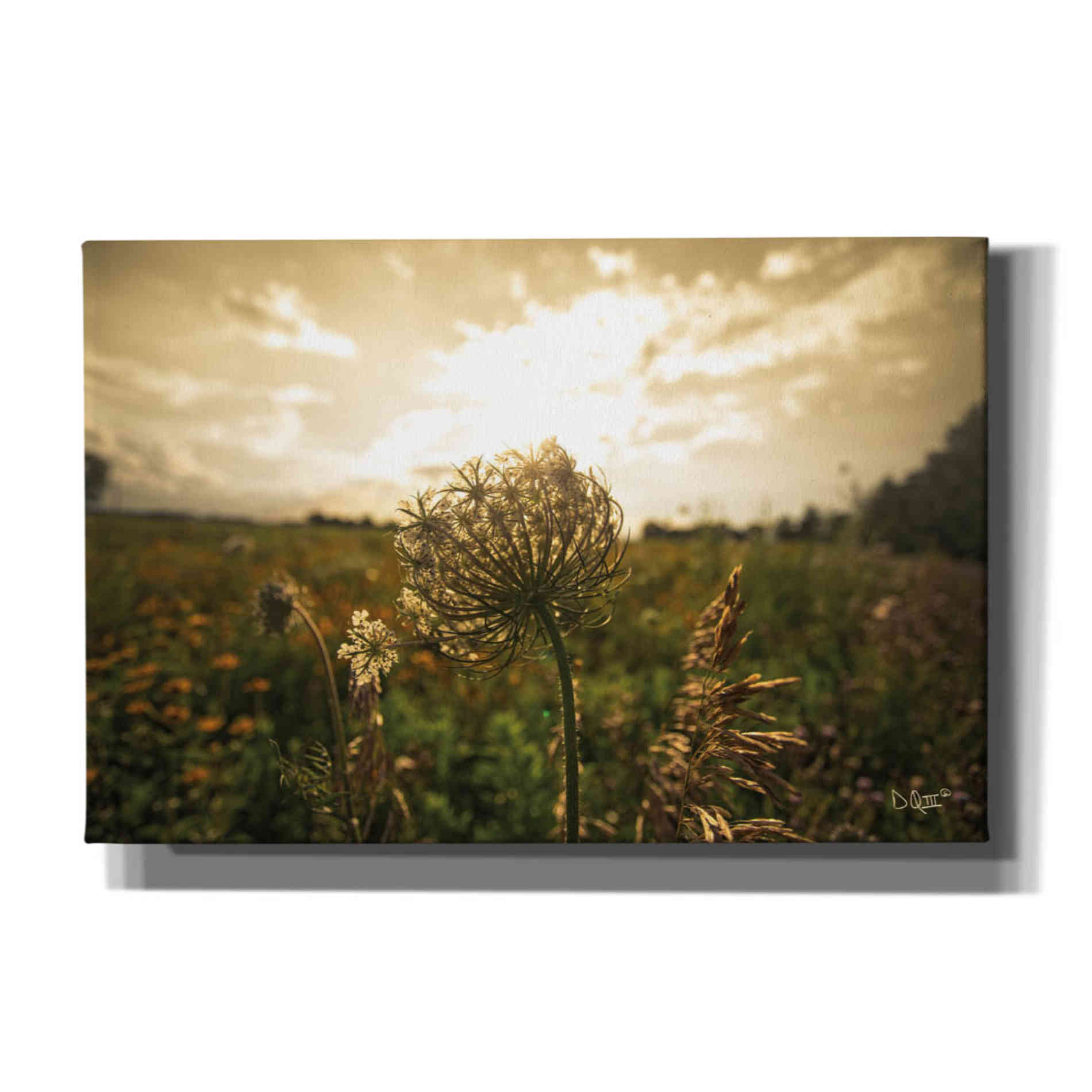 'Face the Sun II' by Donnie Quillen Canvas Wall Art