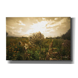 'Face the Sun II' by Donnie Quillen Canvas Wall Art