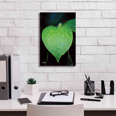 Image of 'Green Leaf' by Donnie Quillen Canvas Wall Art,12 x 18