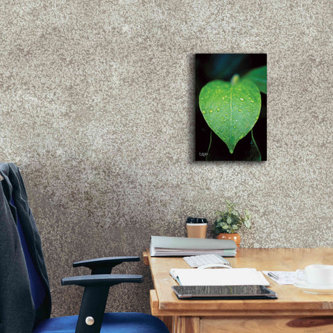 Image of 'Green Leaf' by Donnie Quillen Canvas Wall Art,12 x 18