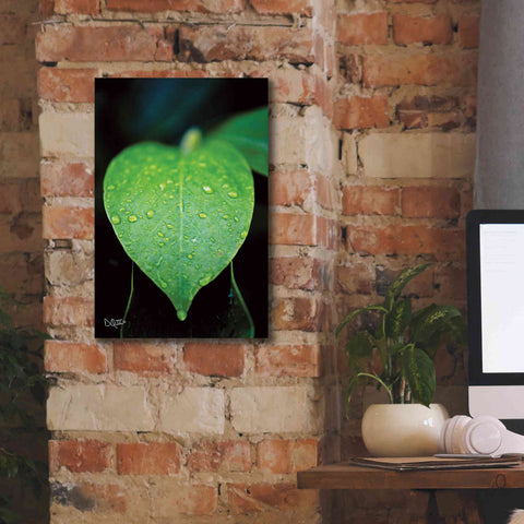 Image of 'Green Leaf' by Donnie Quillen Canvas Wall Art,12 x 18