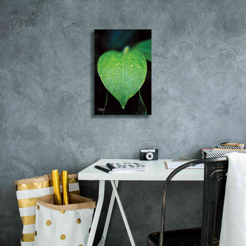 Image of 'Green Leaf' by Donnie Quillen Canvas Wall Art,12 x 18