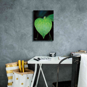 'Green Leaf' by Donnie Quillen Canvas Wall Art,12 x 18