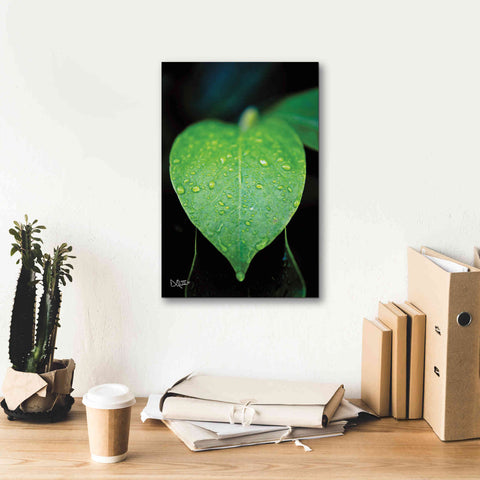 Image of 'Green Leaf' by Donnie Quillen Canvas Wall Art,12 x 18