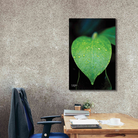 Image of 'Green Leaf' by Donnie Quillen Canvas Wall Art,26 x 40