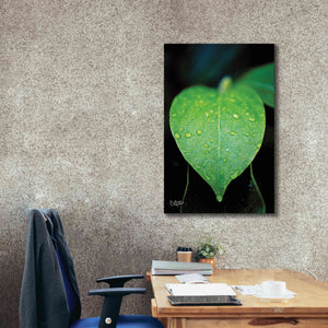 'Green Leaf' by Donnie Quillen Canvas Wall Art,26 x 40