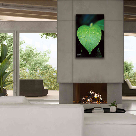 Image of 'Green Leaf' by Donnie Quillen Canvas Wall Art,26 x 40