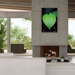 'Green Leaf' by Donnie Quillen Canvas Wall Art,26 x 40