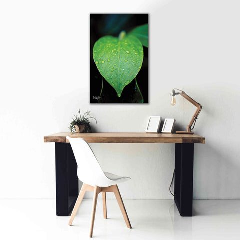 Image of 'Green Leaf' by Donnie Quillen Canvas Wall Art,26 x 40