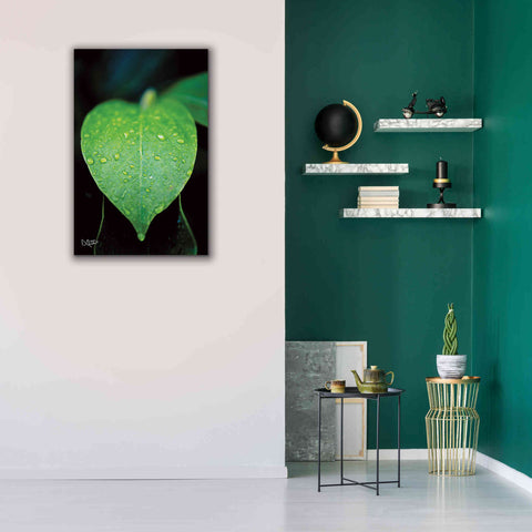 Image of 'Green Leaf' by Donnie Quillen Canvas Wall Art,26 x 40