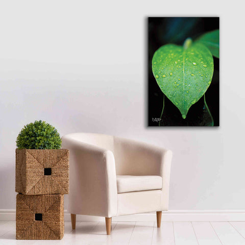 Image of 'Green Leaf' by Donnie Quillen Canvas Wall Art,26 x 40