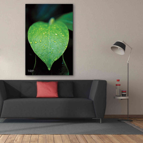 Image of 'Green Leaf' by Donnie Quillen Canvas Wall Art,40 x 60