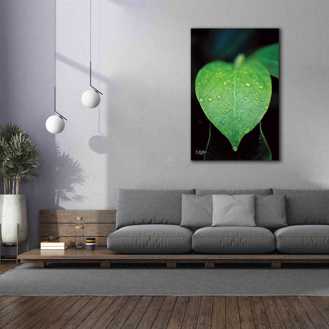 Image of 'Green Leaf' by Donnie Quillen Canvas Wall Art,40 x 60