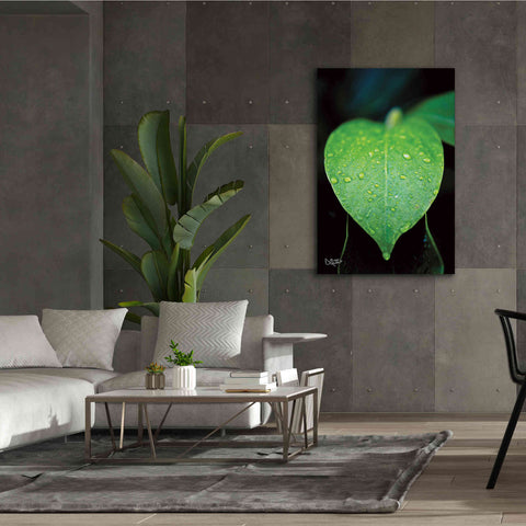 Image of 'Green Leaf' by Donnie Quillen Canvas Wall Art,40 x 60