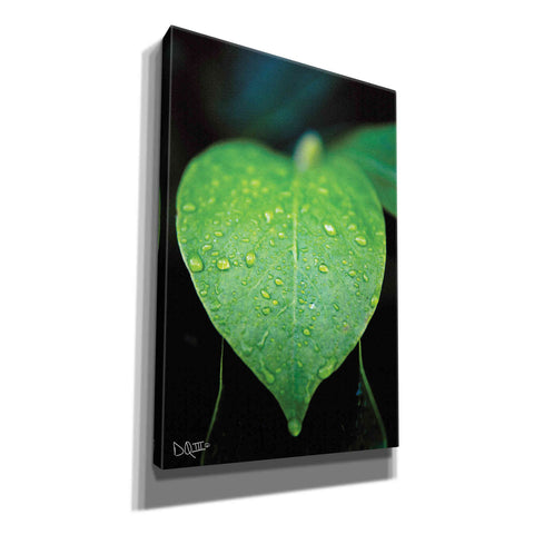 Image of 'Green Leaf' by Donnie Quillen Canvas Wall Art