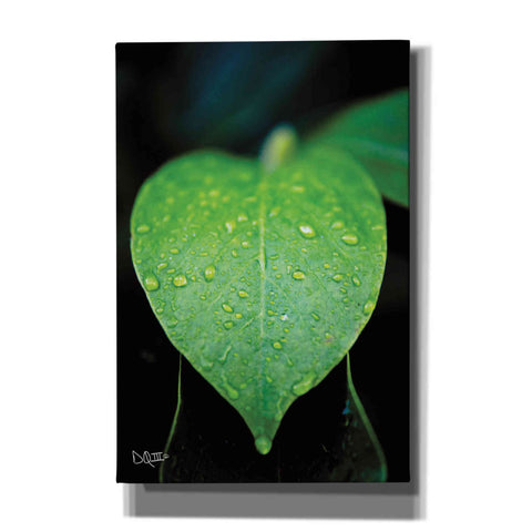 Image of 'Green Leaf' by Donnie Quillen Canvas Wall Art