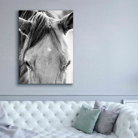 Image of 'Trophy Winner I' by Donnie Quillen Canvas Wall Art,40 x 54